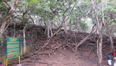 Coimbatore - Kodaikanal - Madurai - Coimbatore